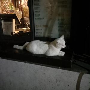 小丽小玲我要看a片现场直播
